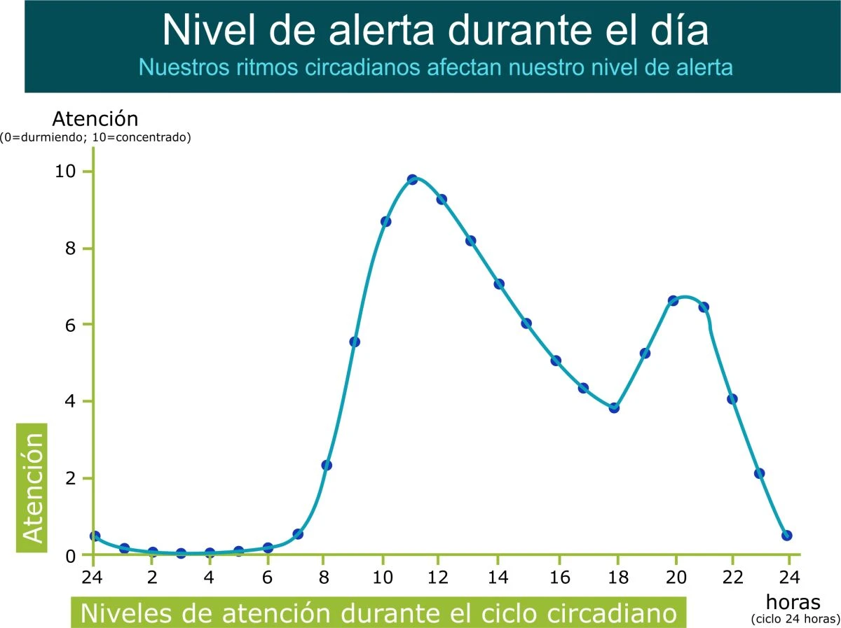 Significado De Ritmo Circadiano