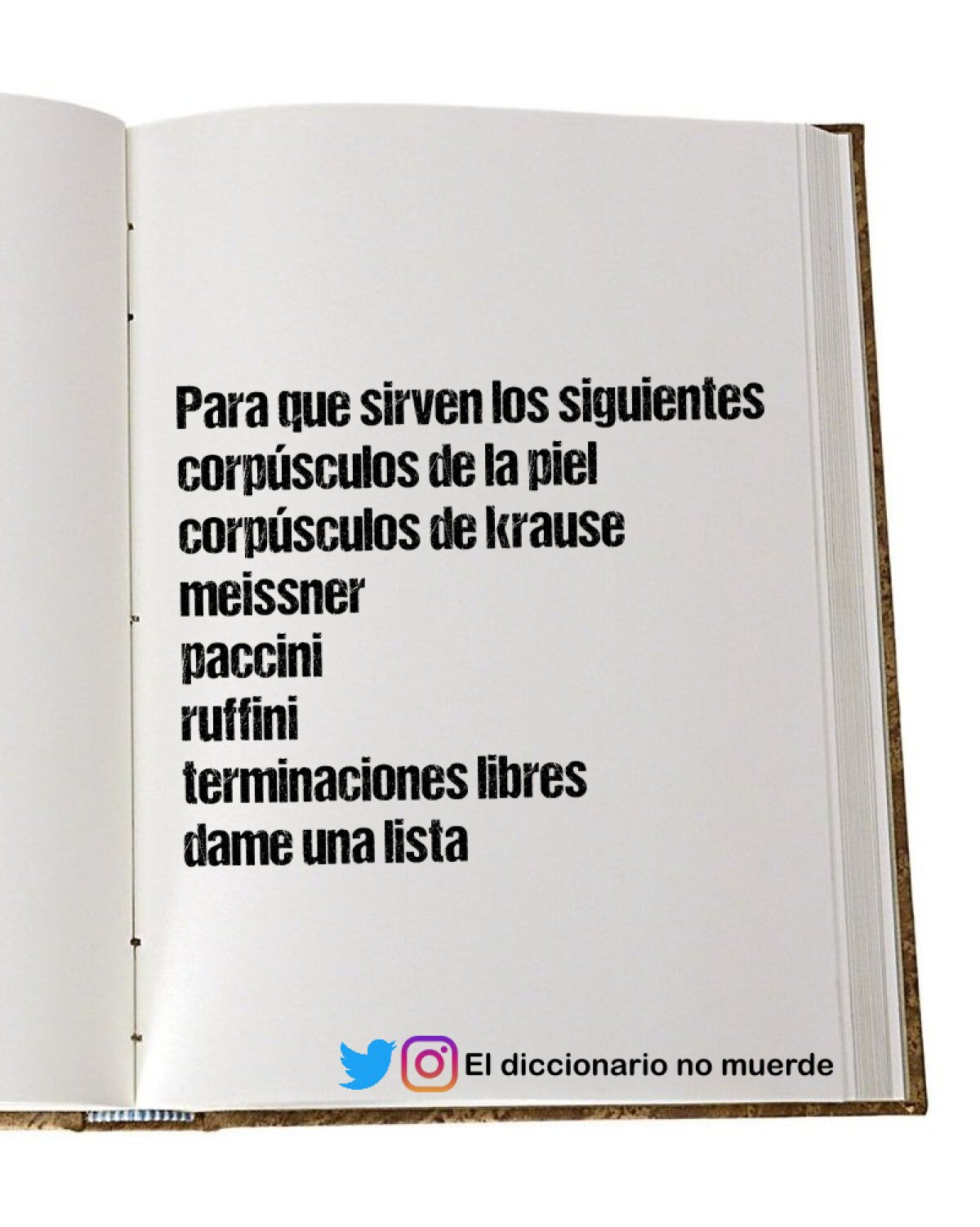 Para que sirven los siguientes corpúsculos de la piel
corpúsculos de krause
meissner
paccini
ruffini
terminaciones libres
dame una lista