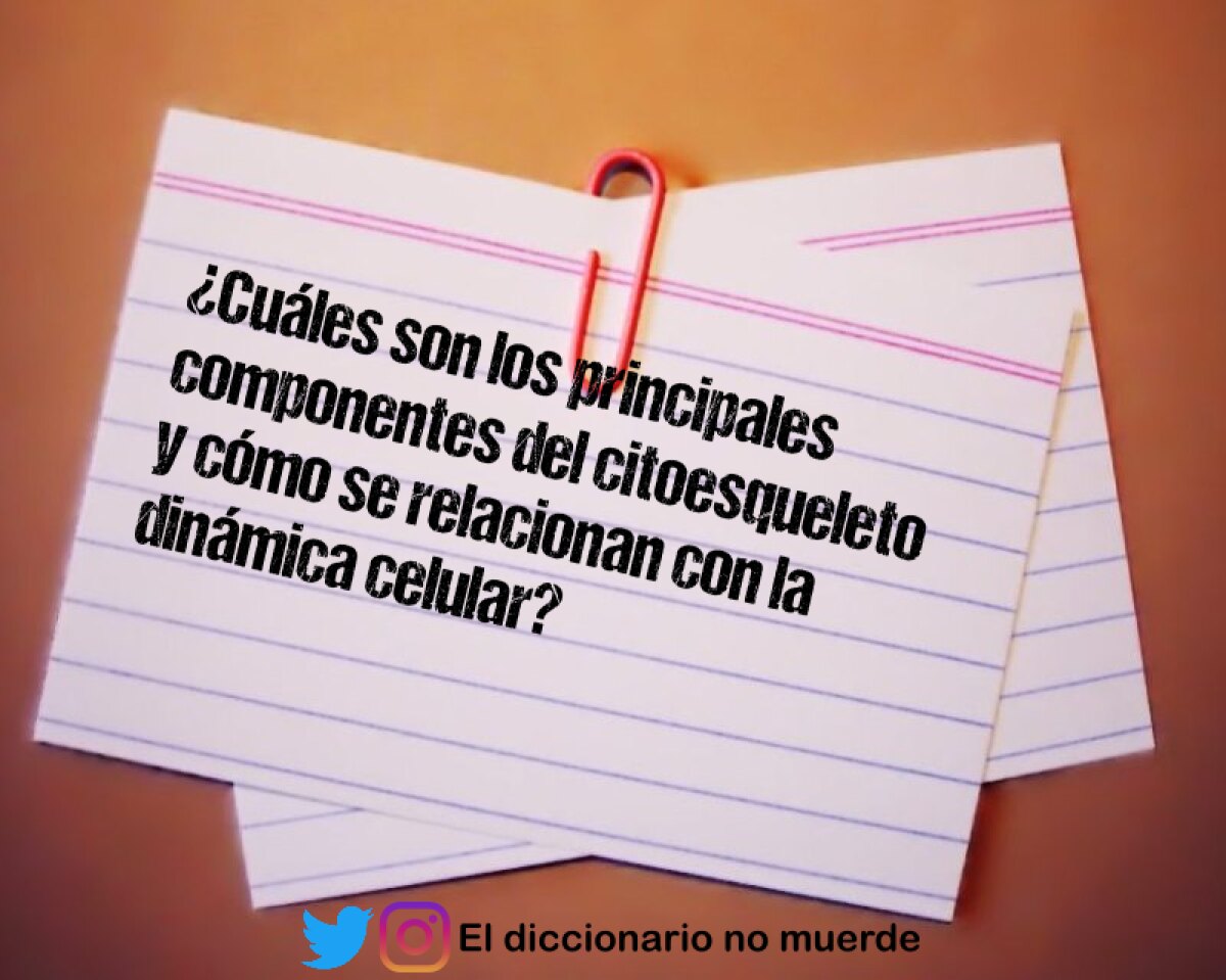 ¿Cuáles son los principales componentes del citoesqueleto y cómo se relacionan con la dinámica celular?