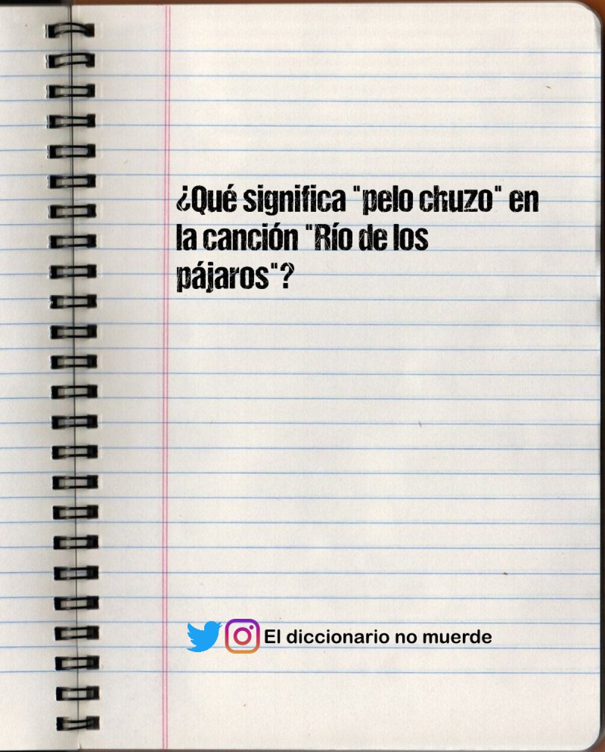 ¿Qué significa "pelo chuzo" en la canción "Río de los pájaros"?