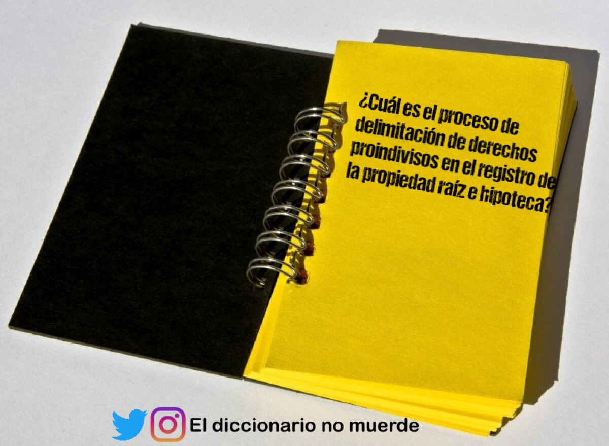 ¿Cuál es el proceso de delimitación de derechos proindivisos en el registro de la propiedad raíz e hipoteca?