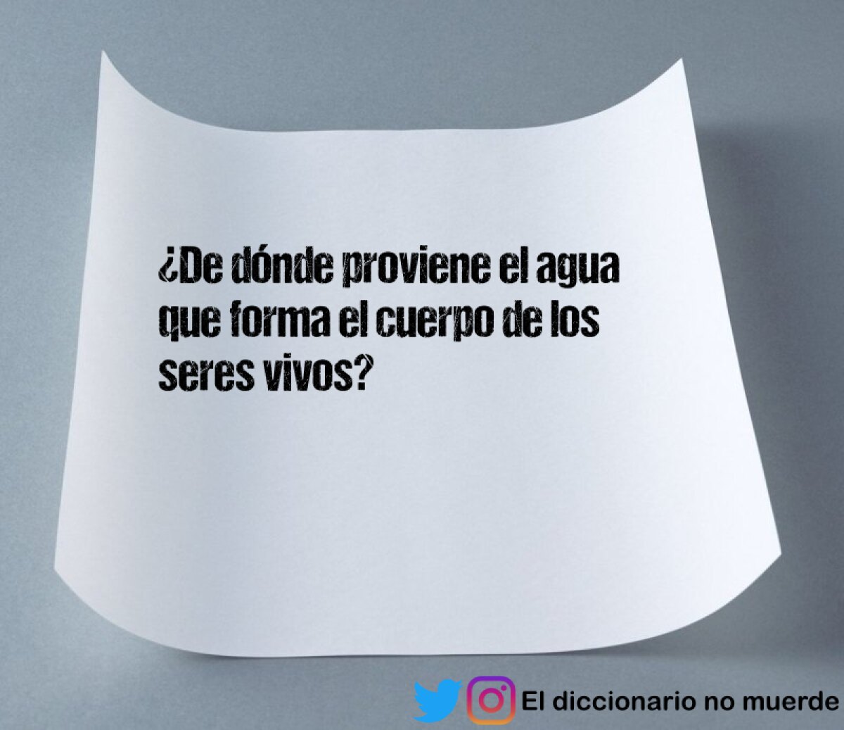 ¿de Dónde Proviene El Agua Que Forma El Cuerpo De Los Seres Vivos 