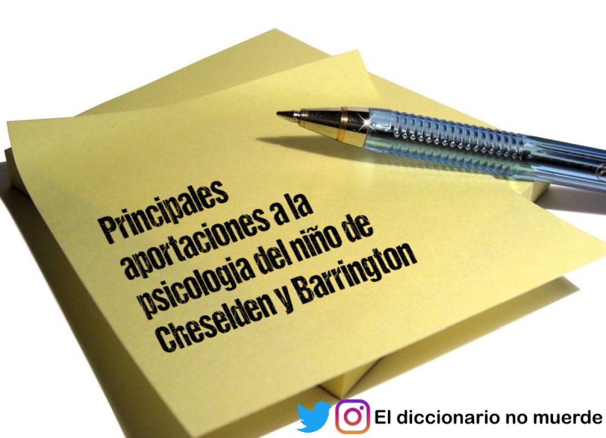 Principales aportaciones a la psicologia del niño de Cheselden y Barrington