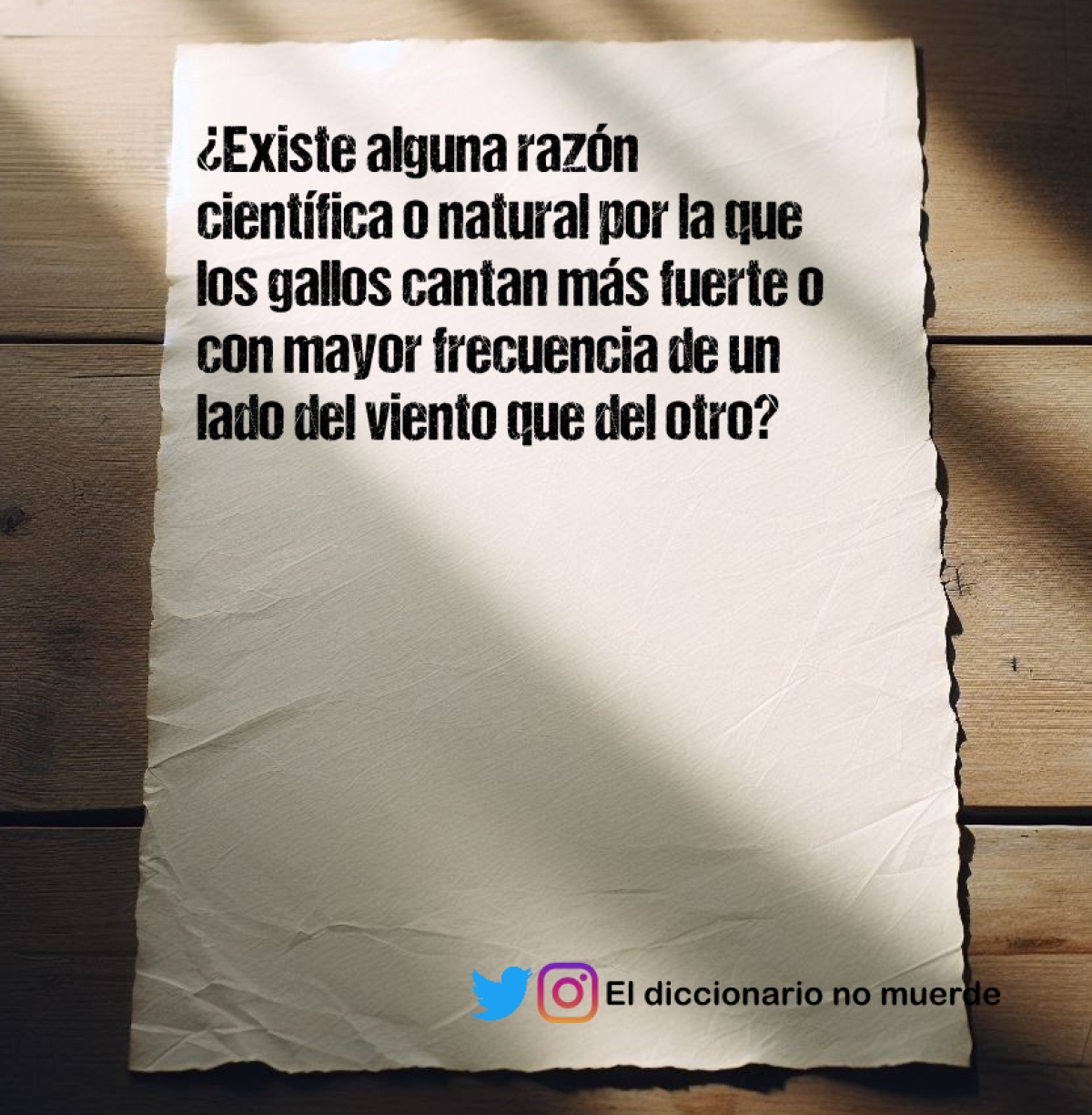 ¿Existe alguna razón científica o natural por la que los gallos cantan más fuerte o con mayor frecuencia de un lado del viento que del otro?