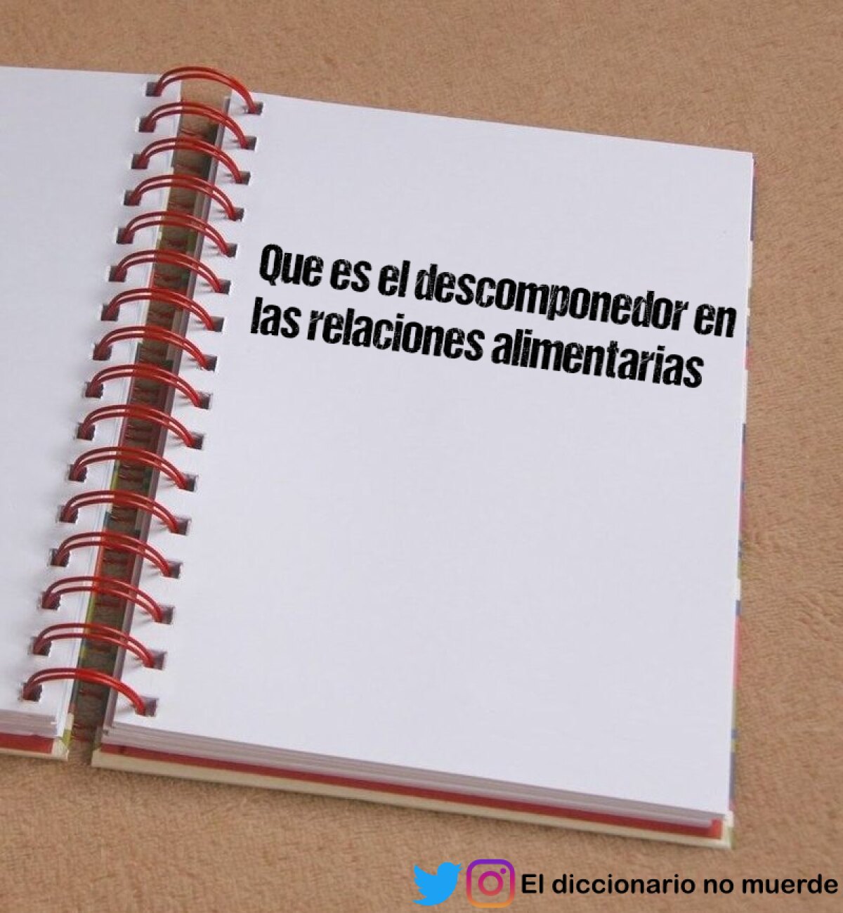 Que es el descomponedor en las relaciones alimentarias