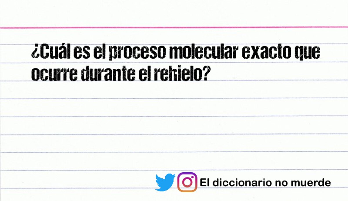 ¿Cuál es el proceso molecular exacto que ocurre durante el rehielo?