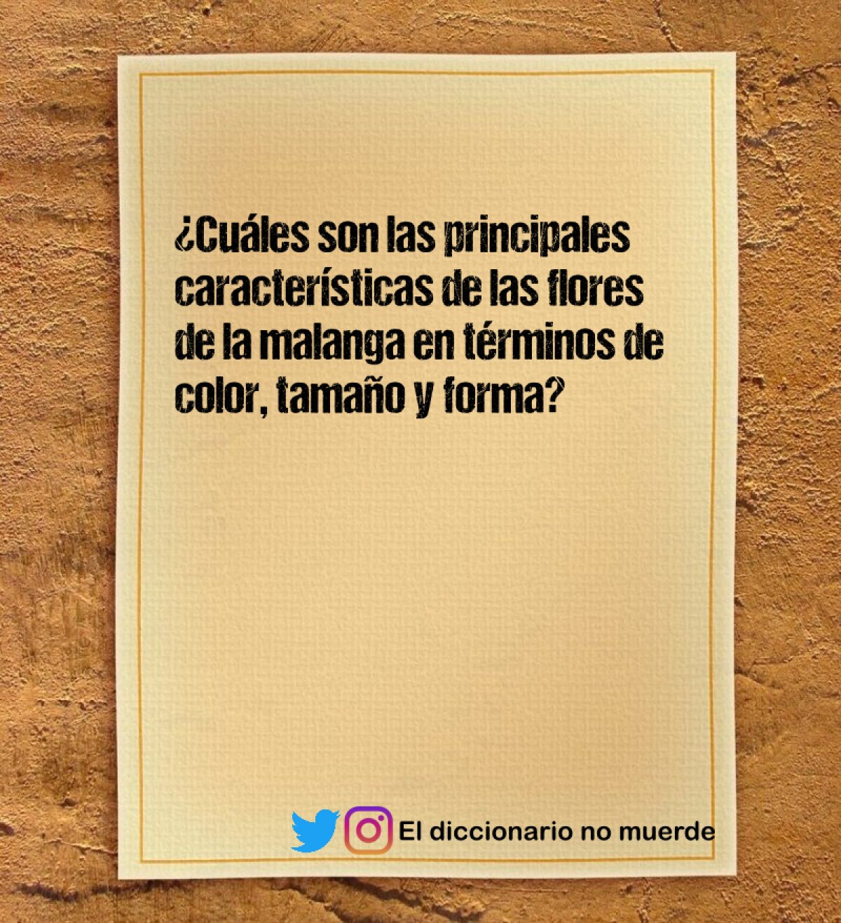 ¿Cuáles son las principales características de las flores de la malanga en términos de color, tamaño y forma?