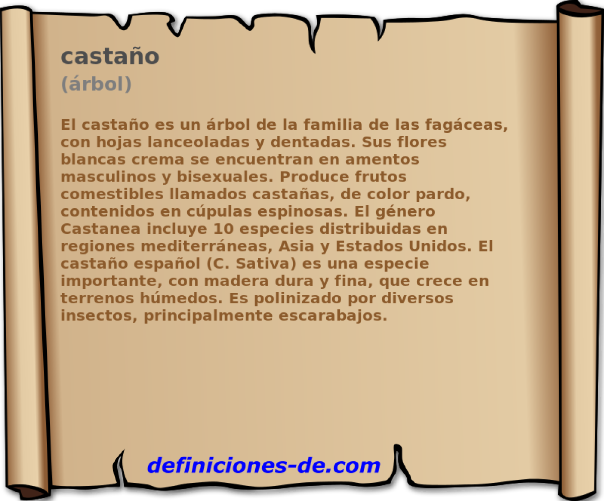 castao (rbol)