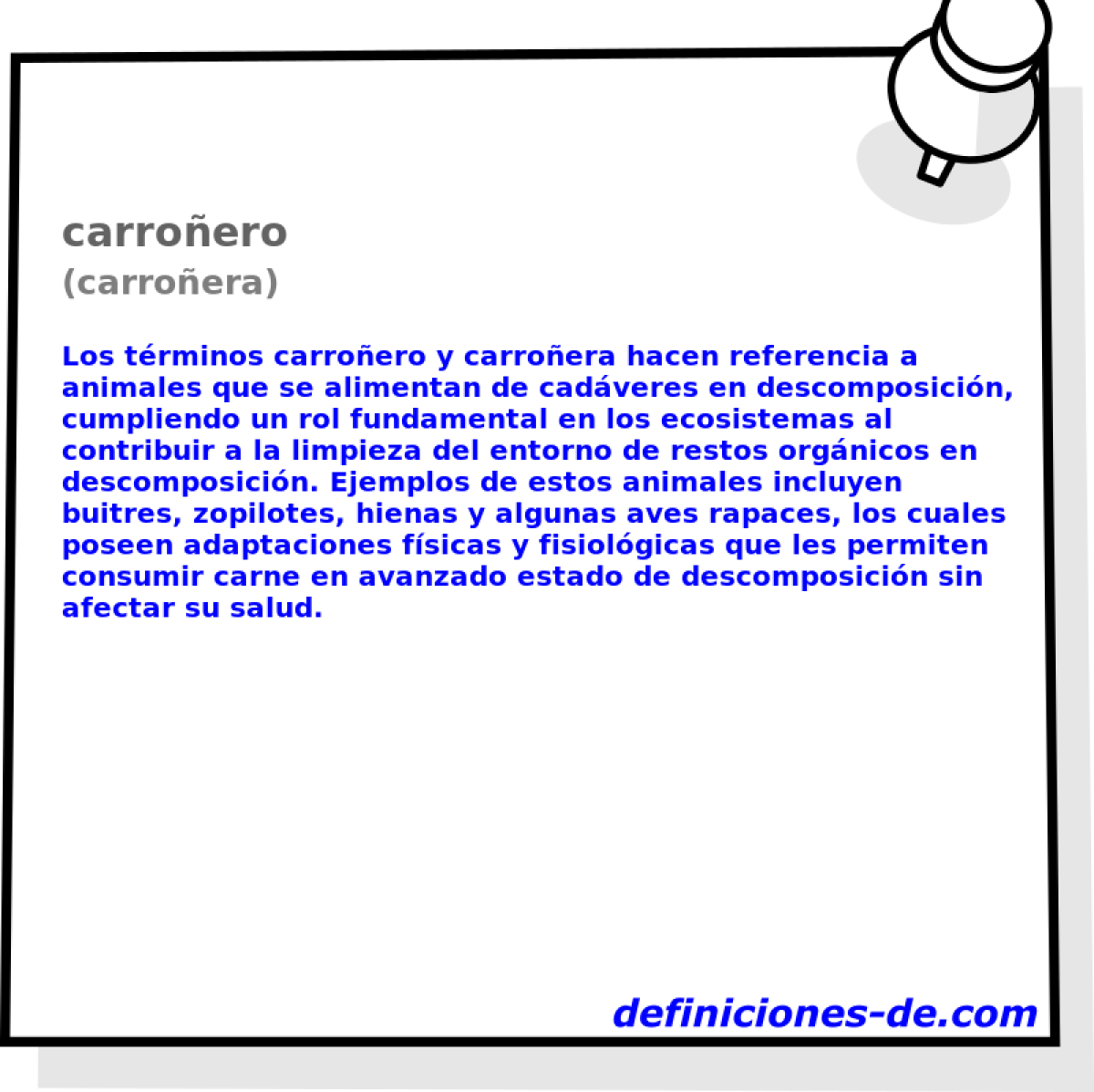 carroero (carroera)