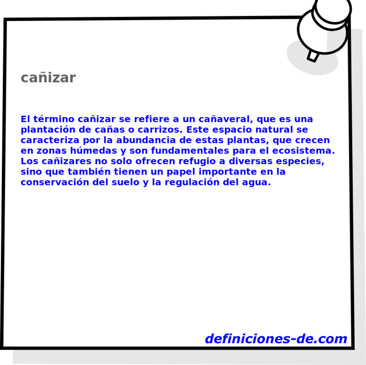 caizar 