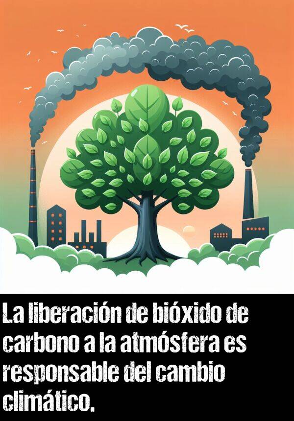 liberacin: La liberacin de bixido de carbono a la atmsfera es responsable del cambio climtico.