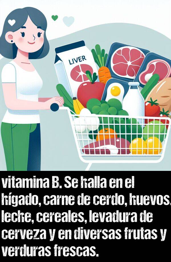 halla: vitamina B. Se halla en el hgado, carne de cerdo, huevos, leche, cereales, levadura de cerveza y en diversas frutas y verduras frescas.