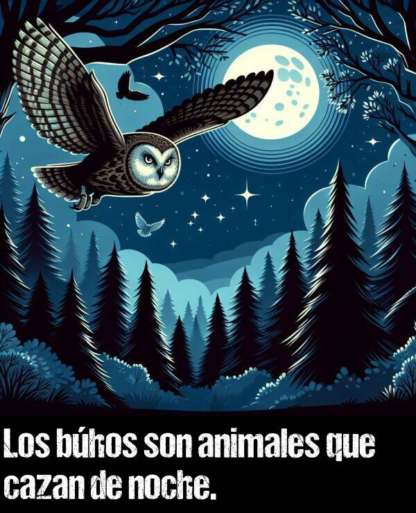 de noche: Los bhos son animales que cazan de noche.