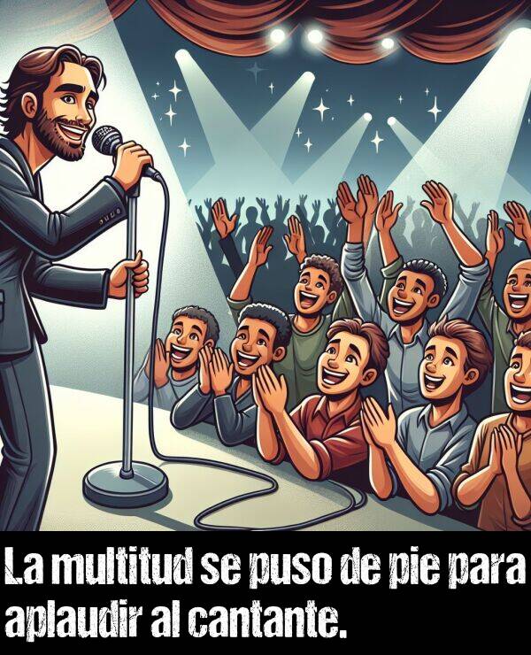 de pie: La multitud se puso de pie para aplaudir al cantante.