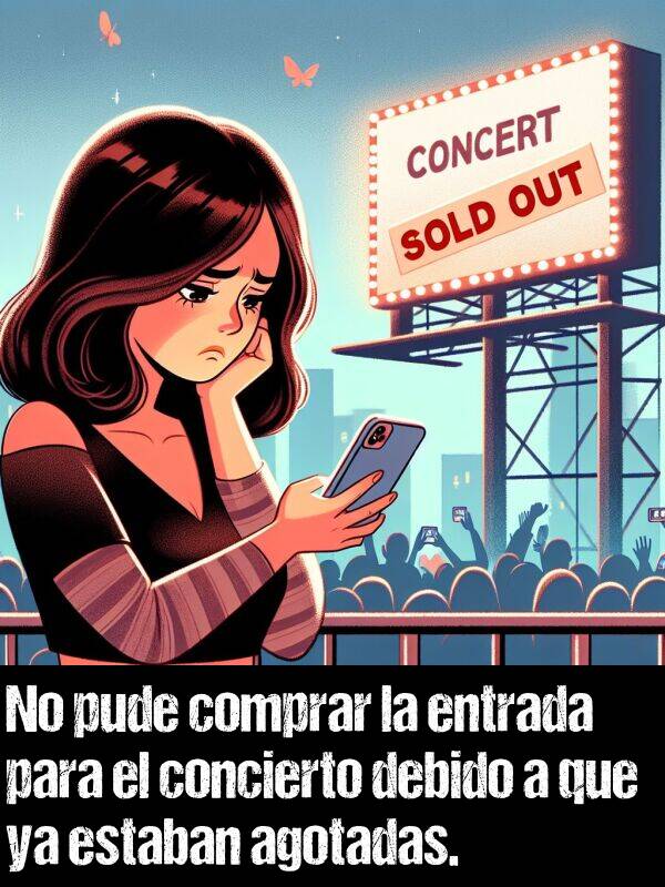 entrada: No pude comprar la entrada para el concierto debido a que ya estaban agotadas.