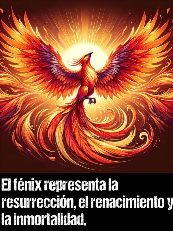 fnix: El fnix representa la resurreccin, el renacimiento y la inmortalidad.