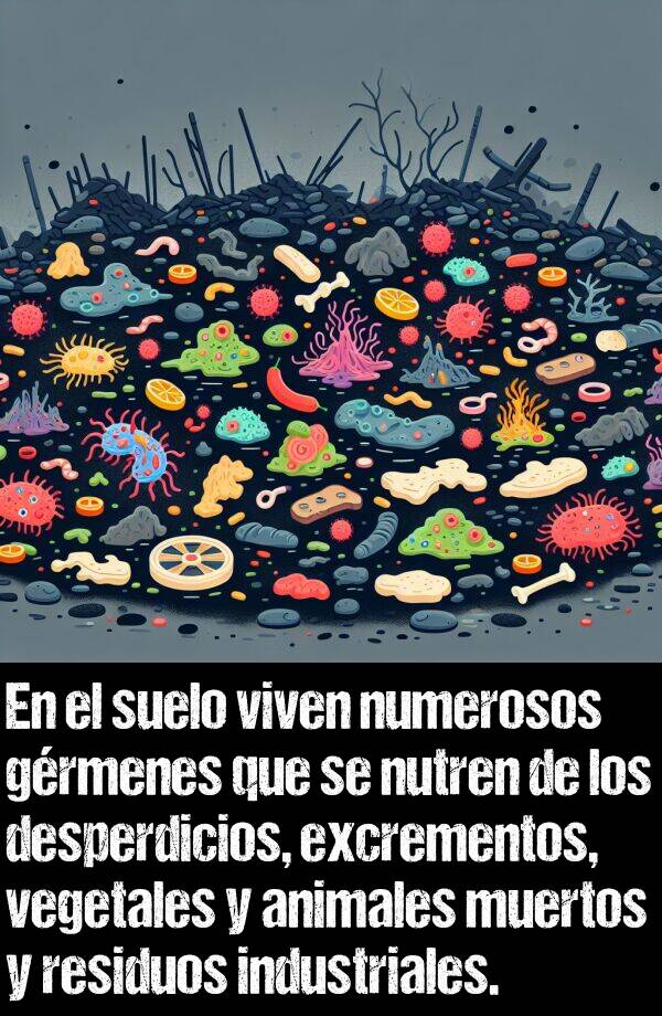 desperdicio: En el suelo viven numerosos grmenes que se nutren de los desperdicios, excrementos, vegetales y animales muertos y residuos industriales.