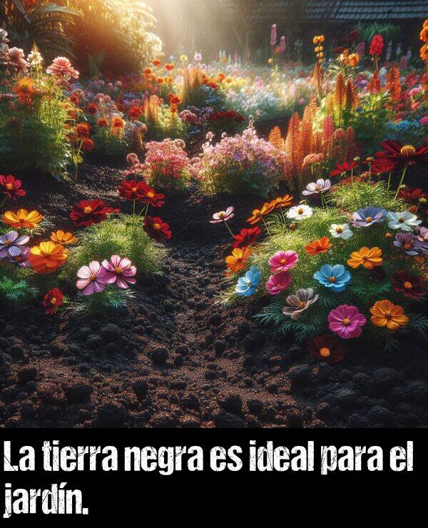 ideal: La tierra negra es ideal para el jardn.