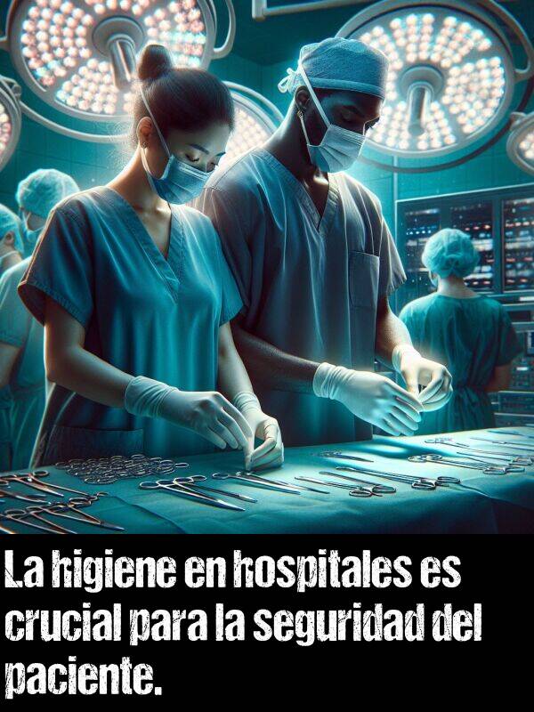 paciente: La higiene en hospitales es crucial para la seguridad del paciente.