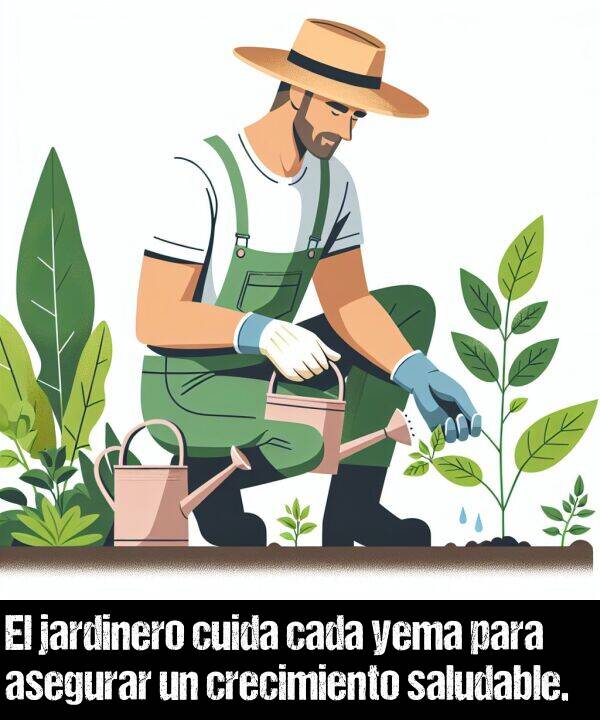 asegurar: El jardinero cuida cada yema para asegurar un crecimiento saludable.