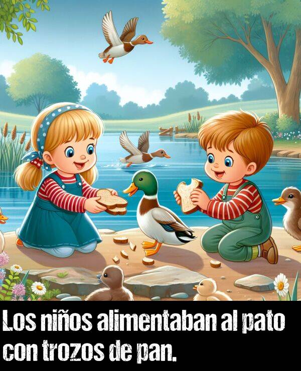 pan: Los nios alimentaban al pato con trozos de pan.