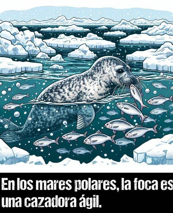 foca: En los mares polares, la foca es una cazadora gil.