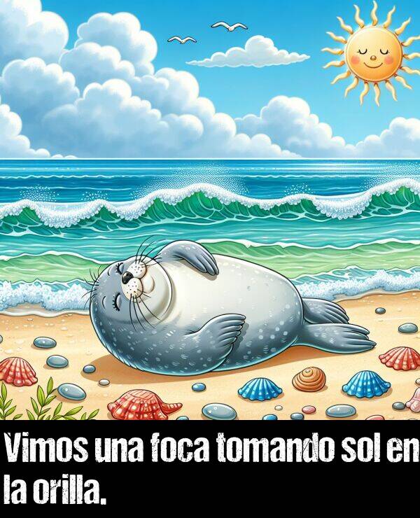 foca: Vimos una foca tomando sol en la orilla.