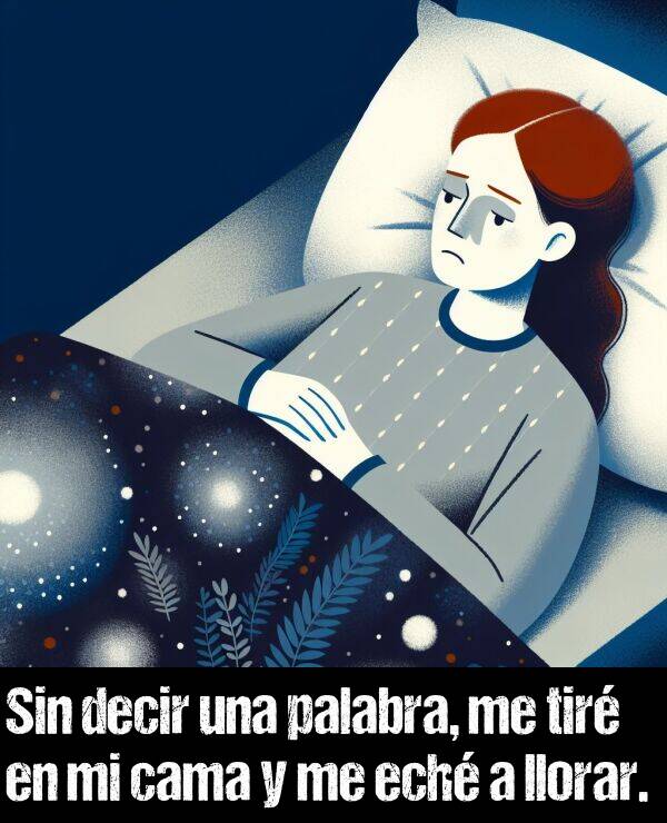 ech: Sin decir una palabra, me tir en mi cama y me ech a llorar.