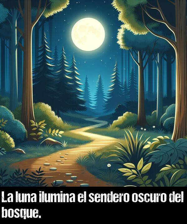 oscuro: La luna ilumina el sendero oscuro del bosque.