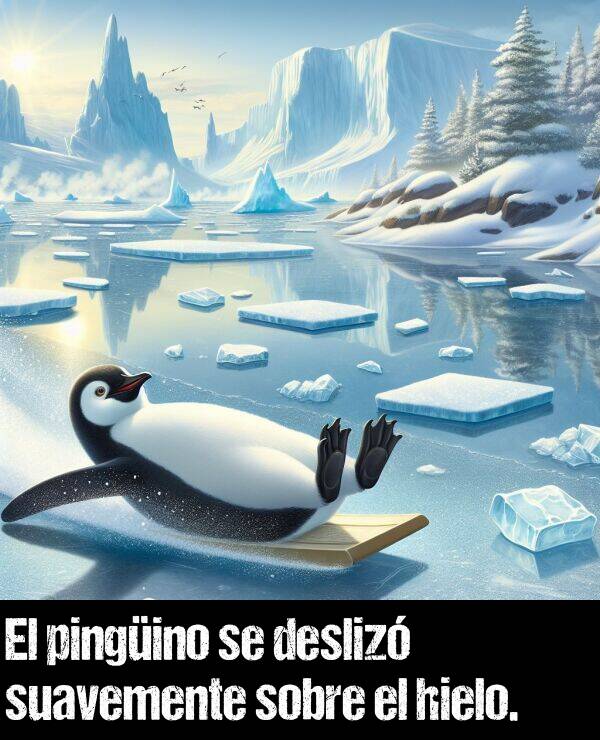 pingino: El pingino se desliz suavemente sobre el hielo.