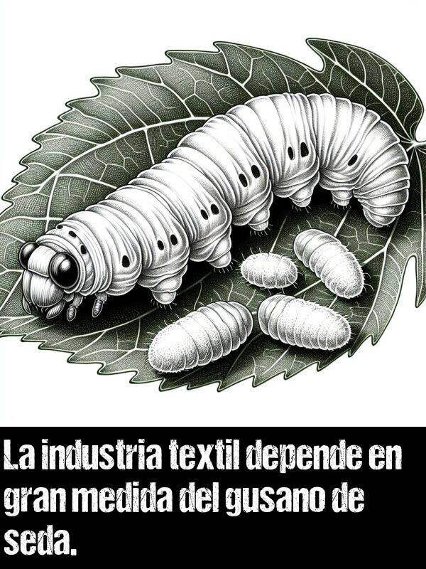 gusano: La industria textil depende en gran medida del gusano de seda.