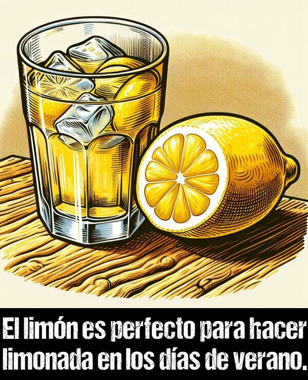 verano: El limn es perfecto para hacer limonada en los das de verano.