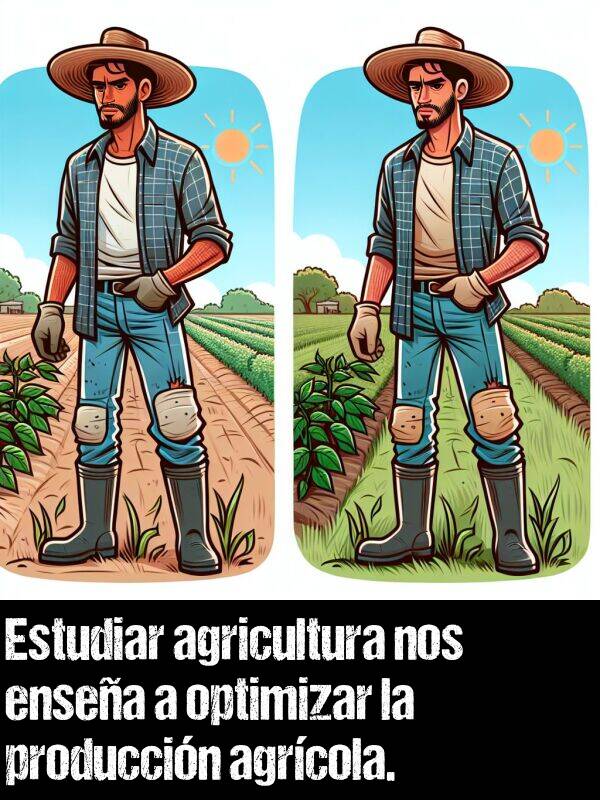 produccin: Estudiar agricultura nos ensea a optimizar la produccin agrcola.