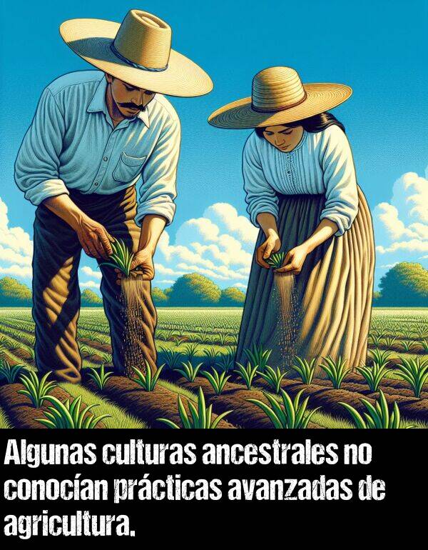 avanzada: Algunas culturas ancestrales no conocan prcticas avanzadas de agricultura.