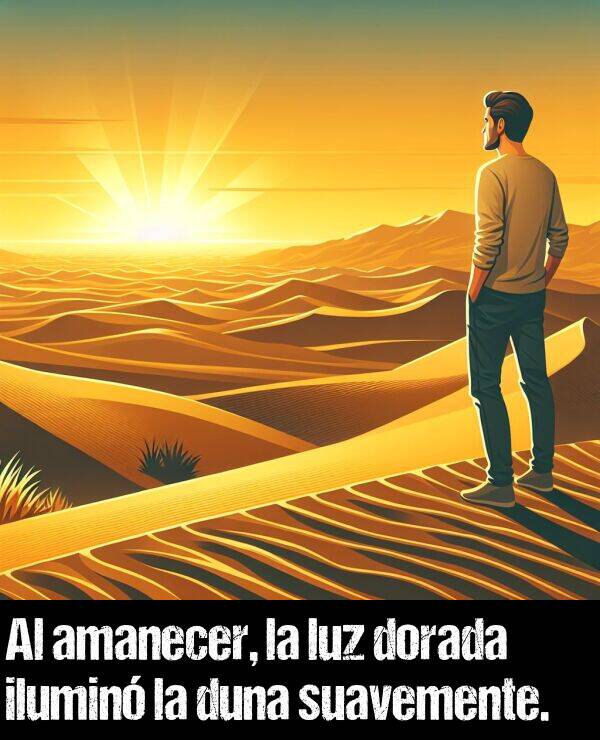 duna: Al amanecer, la luz dorada ilumin la duna suavemente.