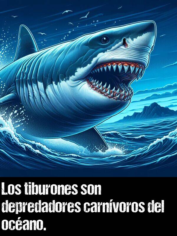 depredador: Los tiburones son depredadores carnvoros del ocano.