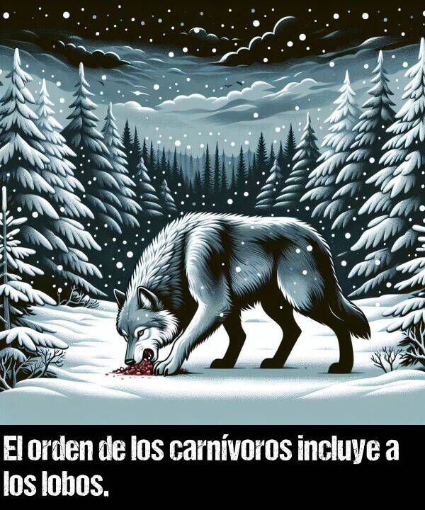 orden: El orden de los carnvoros incluye a los lobos.