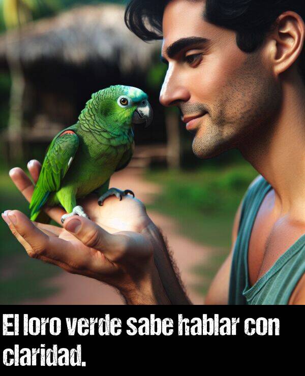 claridad: El loro verde sabe hablar con claridad.