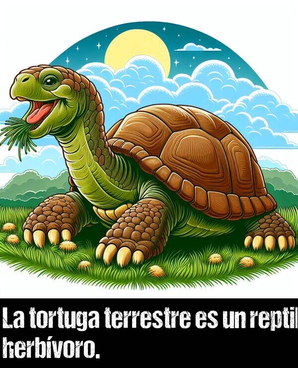 herbvoro: La tortuga terrestre es un reptil herbvoro.