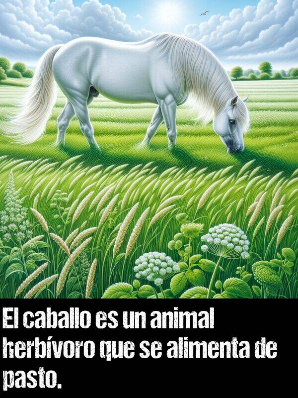 herbvoro: El caballo es un animal herbvoro que se alimenta de pasto.