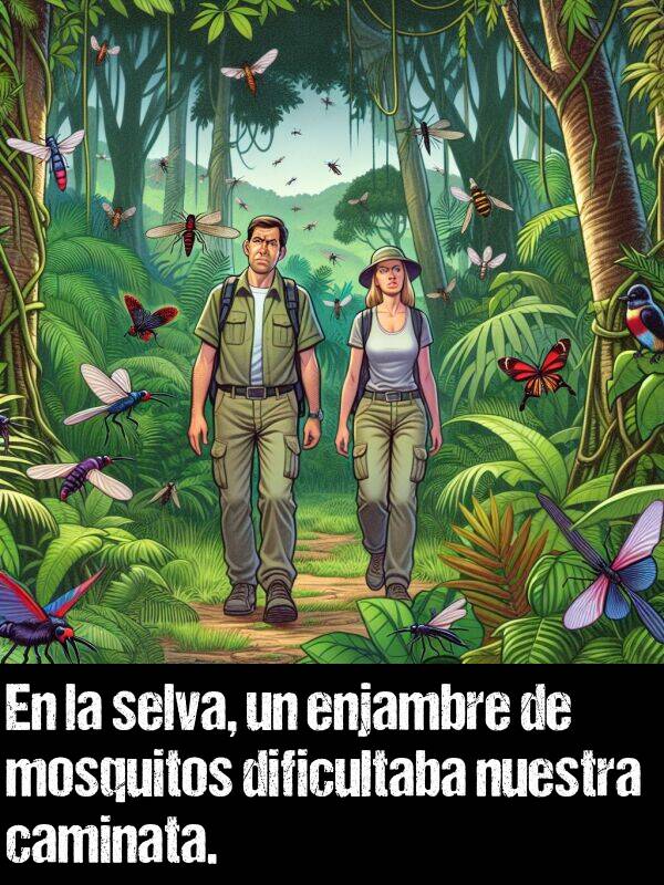 enjambre: En la selva, un enjambre de mosquitos dificultaba nuestra caminata.