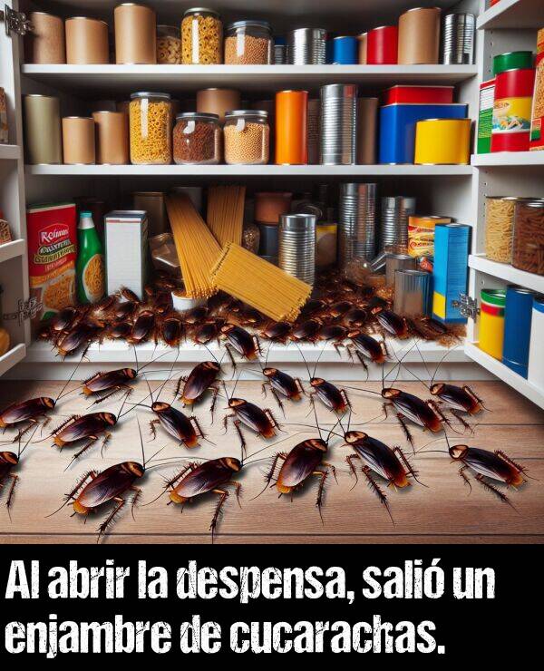 cucaracha: Al abrir la despensa, sali un enjambre de cucarachas.