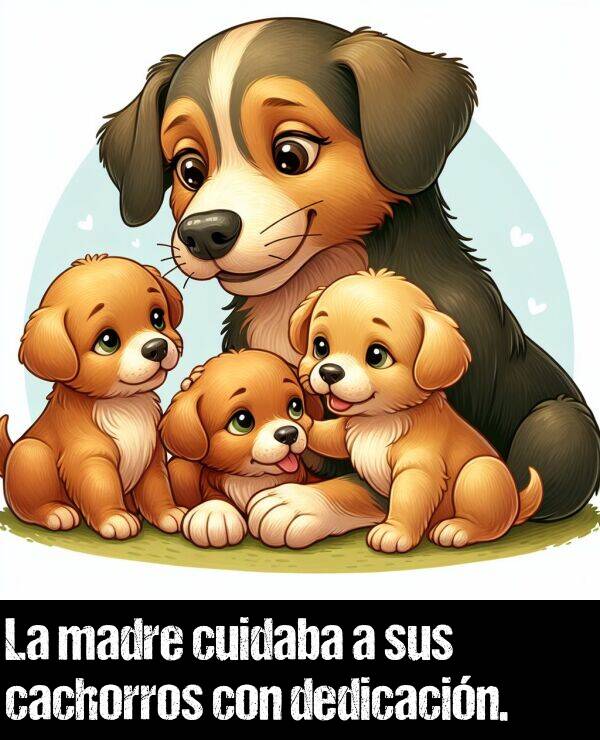 dedicacin: La madre cuidaba a sus cachorros con dedicacin.