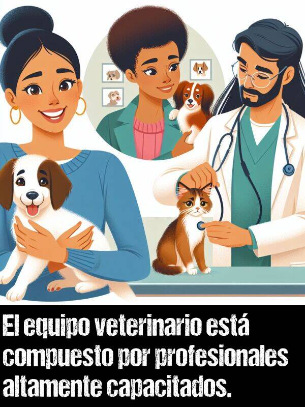 altamente: El equipo veterinario est compuesto por profesionales altamente capacitados.