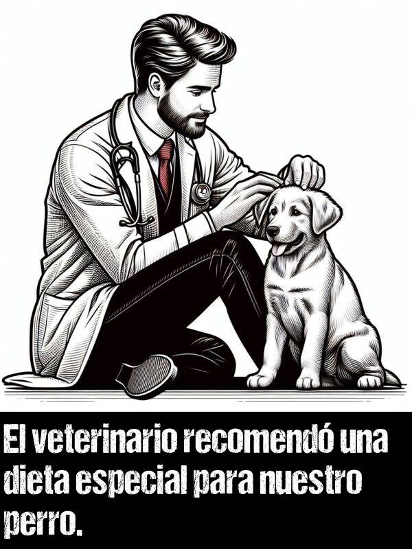 recomend: El veterinario recomend una dieta especial para nuestro perro.