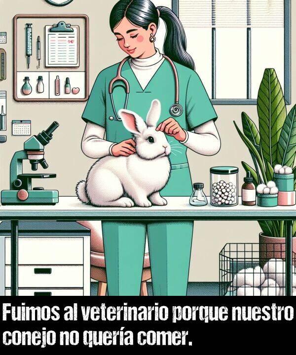 comer: Fuimos al veterinario porque nuestro conejo no quera comer.
