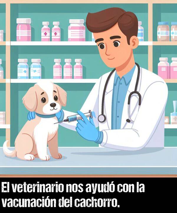 ayud: El veterinario nos ayud con la vacunacin del cachorro.
