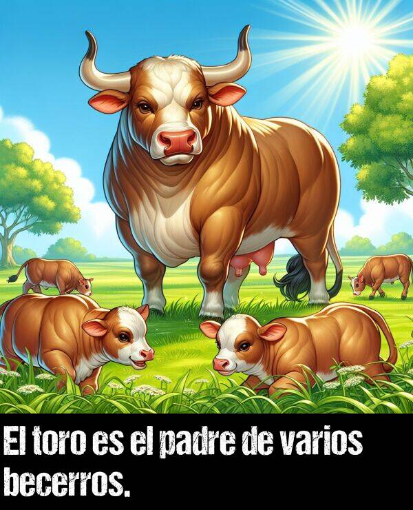 becerros: El toro es el padre de varios becerros.