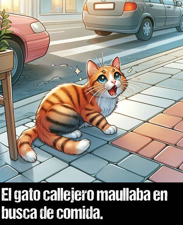 callejero: El gato callejero maullaba en busca de comida.