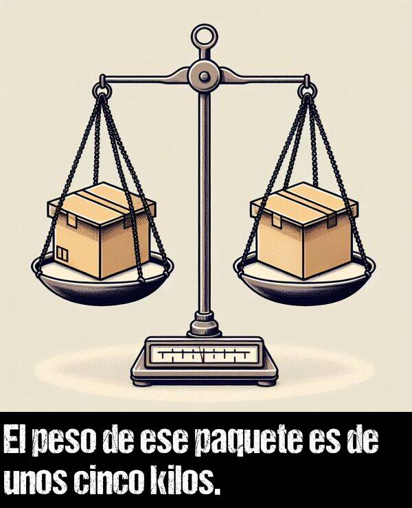 peso: El peso de ese paquete es de unos cinco kilos.